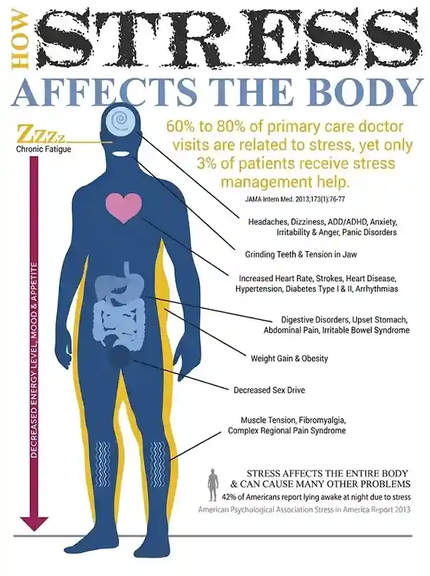 how-stress-affects-your-health