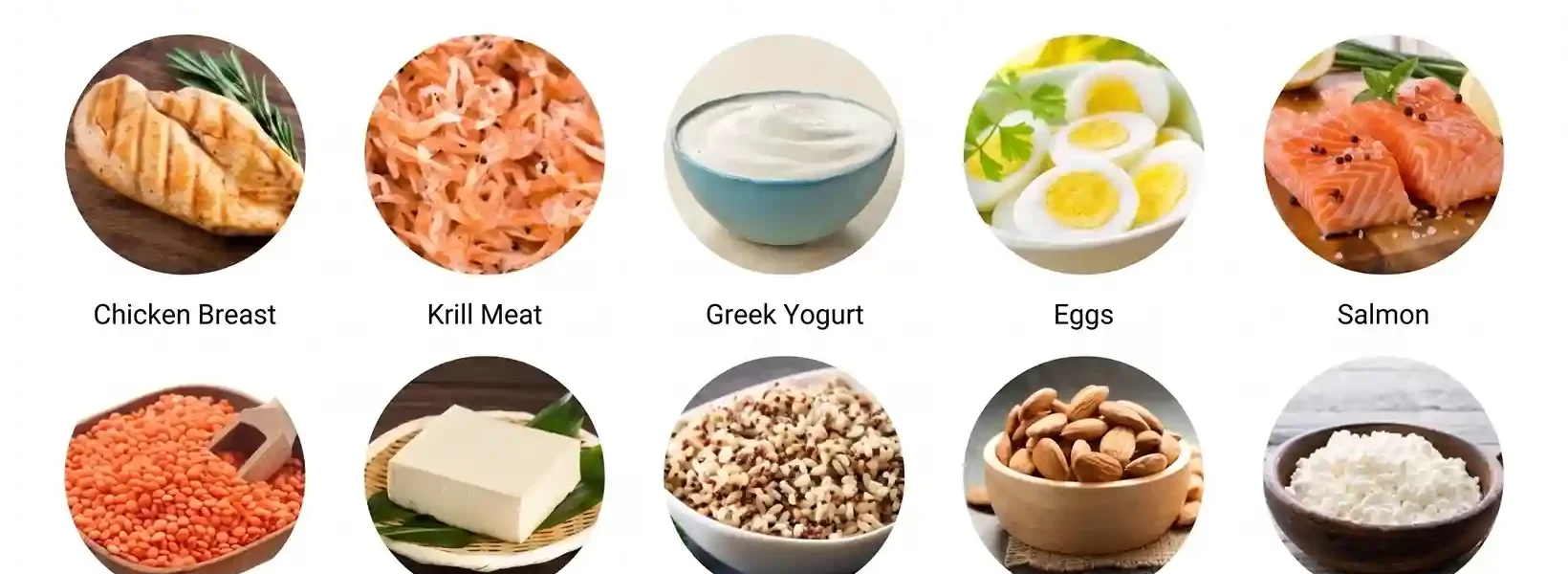 10-best-high-protein-foods-according-to-experts