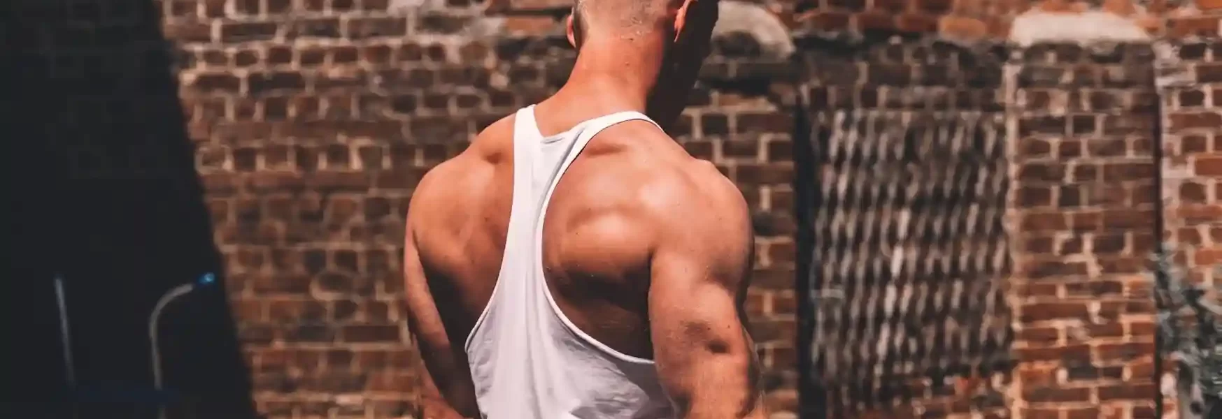 7-day-gym-workout-plan-the-ultimate-guide-to-muscle-building-2025