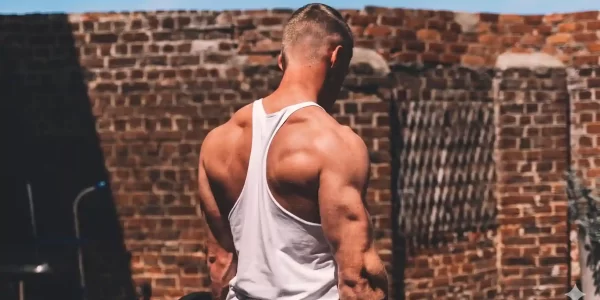 7-day-gym-workout-plan-the-ultimate-guide-to-muscle-building-2025