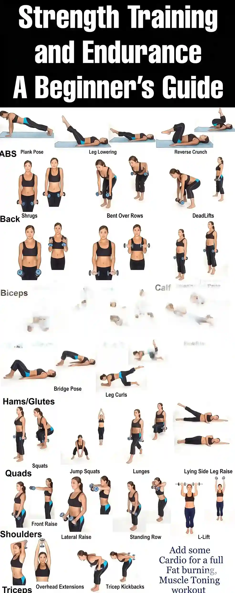 the-beginner-weight-training-workout-routine