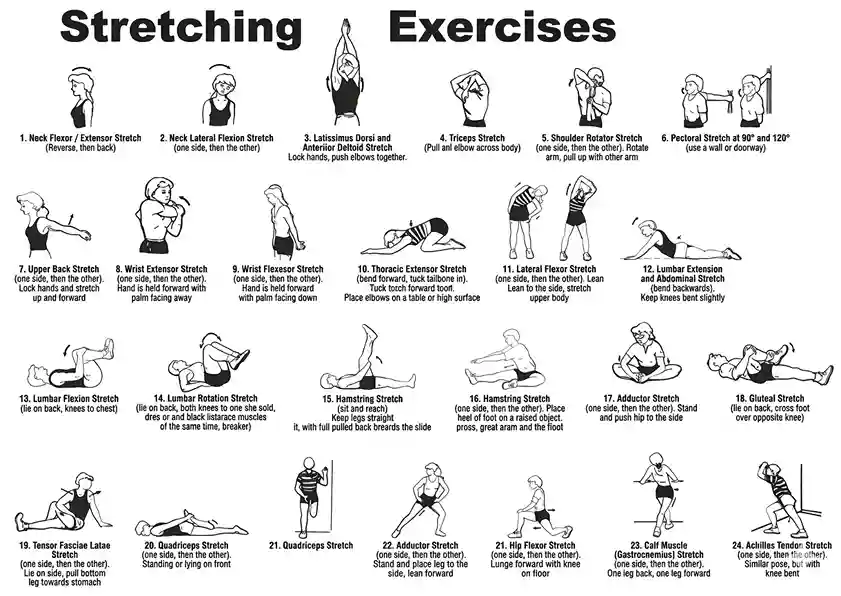 the-science-behind-stretching-what-happens-to-your-body-and-why-it-matters