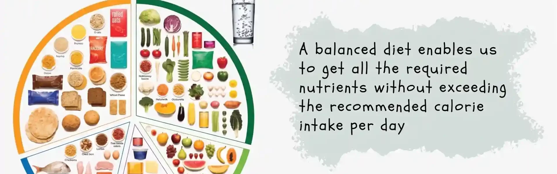 what-exactly-is-a-balanced-diet