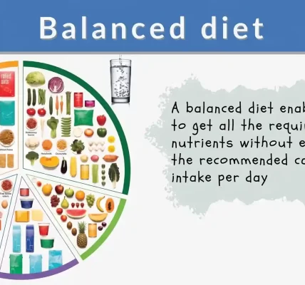 what-exactly-is-a-balanced-diet