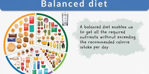 what-exactly-is-a-balanced-diet