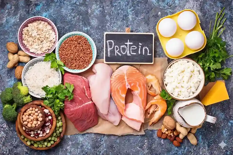 10-best-high-protein-foods-according-to-experts