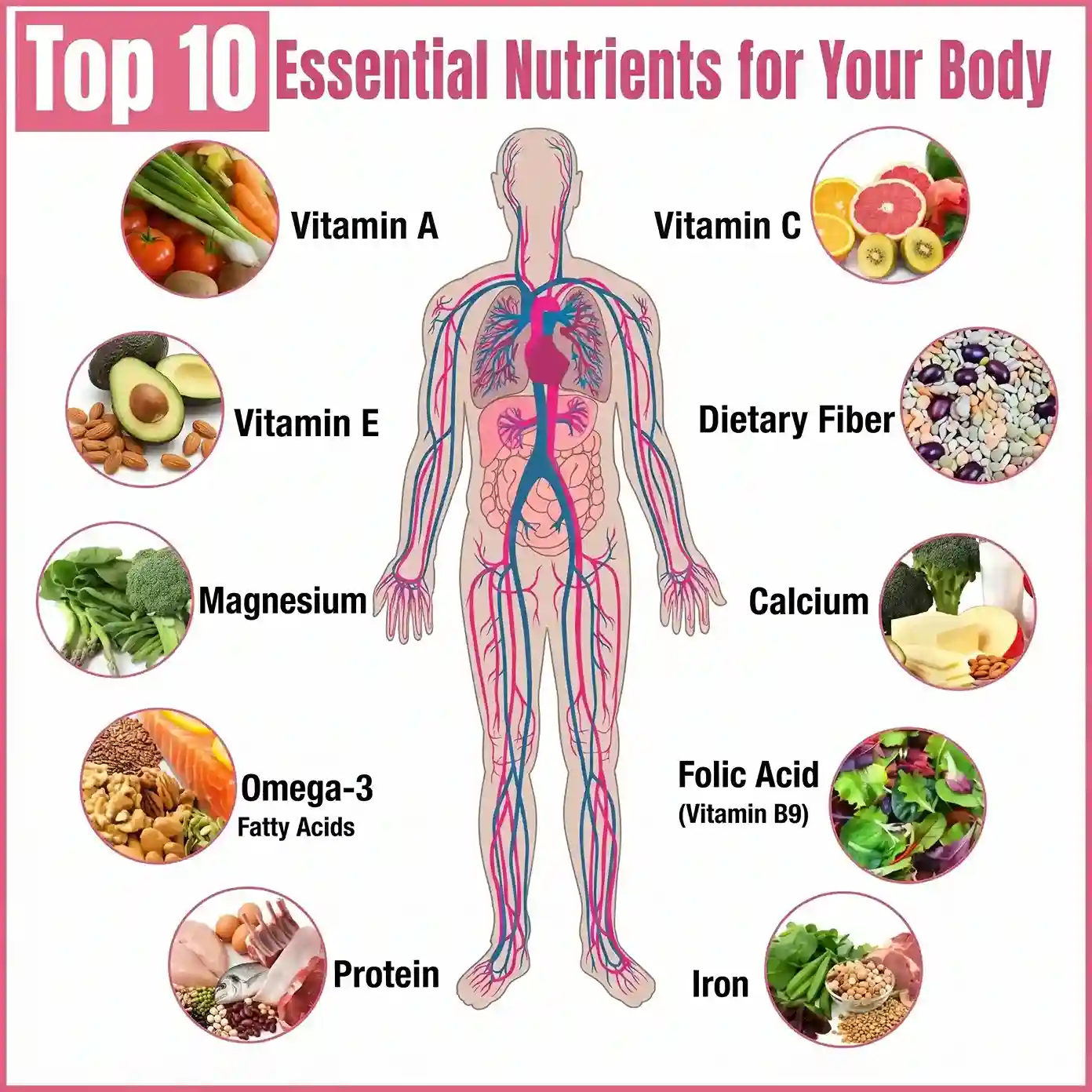 top-10-essential-nutrients-your-body-needs-every-day