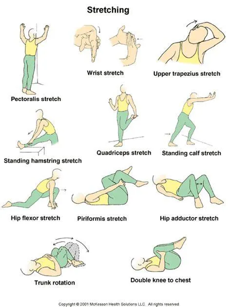 the-science-behind-stretching-what-happens-to-your-body-and-why-it-matters