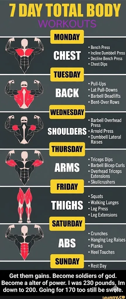 7-day-gym-workout-plan-the-ultimate-guide-to-muscle-building-2025